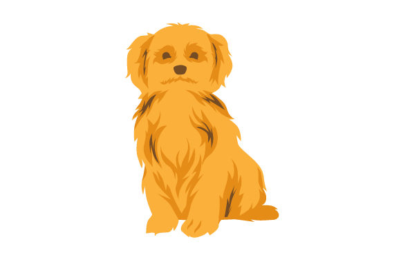 A Practical Guide to Evaluating 3D Goldendoodle Models