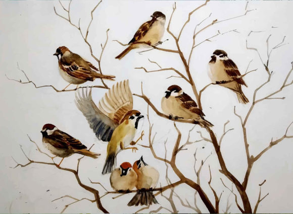 Watercolor Hand Drawn Birds Illustration